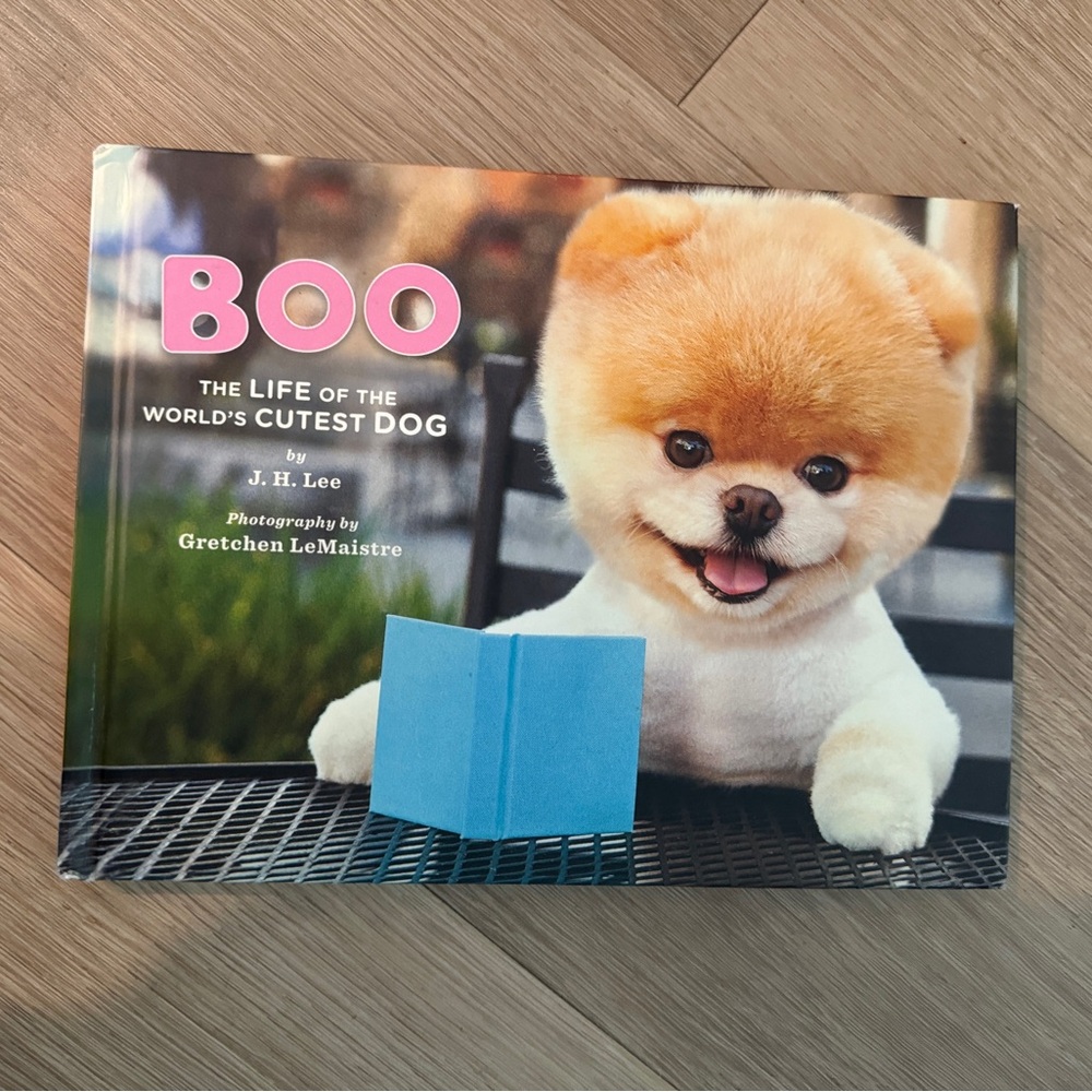Urban Outfitters BOO Photo Book - Pink and Blue Cover